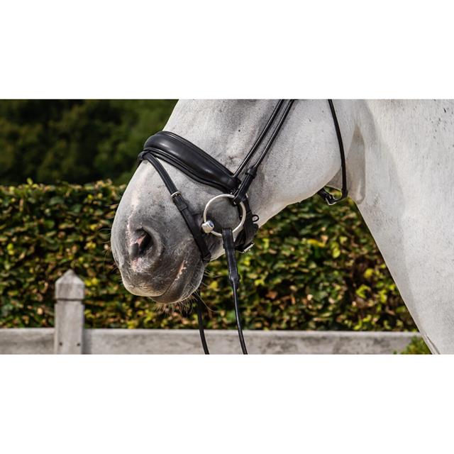 Nasenriemen Mattleder Rundgenäht Dressage Collection Dy'on Schwarz