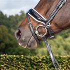 Nasenriemen mit weiß unterlegtem Patentleder Dressage Collection Dy'on Schwarz