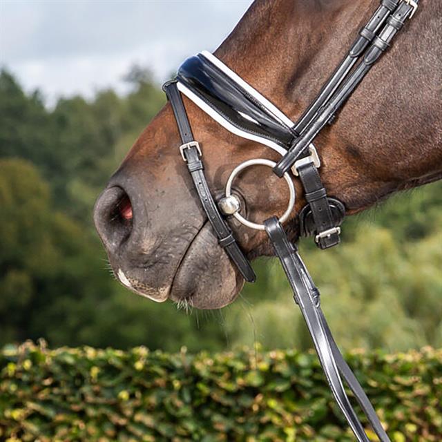 Nasenriemen mit weiß unterlegtem Patentleder Dressage Collection Dy'on Schwarz