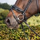 Nasenriemen Patent Large Dressage Collection Dy'on Schwarz