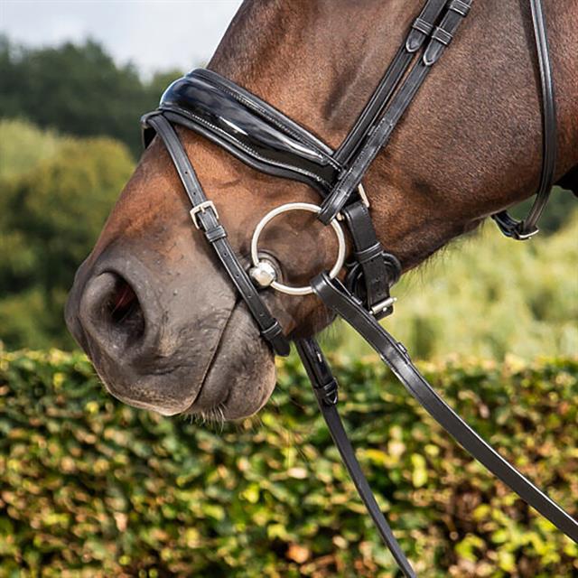 Nasenriemen Patent Large Dressage Collection Dy'on Schwarz