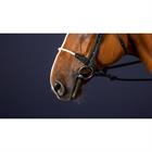 Nasenriemen Rope New English Collection Dy'on Schwarz
