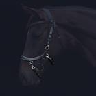Neusriem PresTeq Fay Sport Schwarz