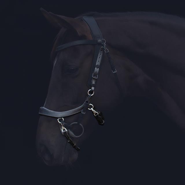Neusriem PresTeq Fay Sport Schwarz