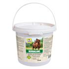 OerBalance VITALstyle 