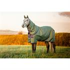 Outdoordecke Amigo Hero Plus Med 200 g Pony Horseware Grün