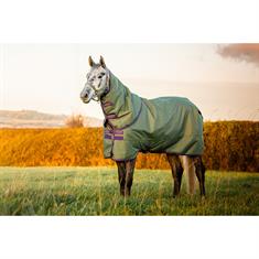 Outdoordecke Amigo Hero Plus Med 200 g Pony Horseware Grün