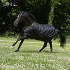 Outdoordecke Irish Turnout Big Neck 50gr Bucas Schwarz-Gold