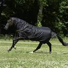 Outdoordecke Irish Turnout Full Neck 50gr Bucas Schwarz-Gold