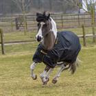 Outdoordecke Irish Turnout Light Pony 50gr Bucas Schwarz-Gold
