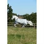 Outdoordecke Power Turnout Medium 150gr Bucas Silber