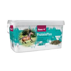 Pavo Proteinplus Sonstige