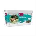 Pavo Proteinplus 