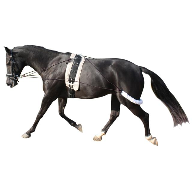 Pessoa Longierhilfe Epplejeck Schwarz