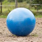 Pferdefußball BR Blau