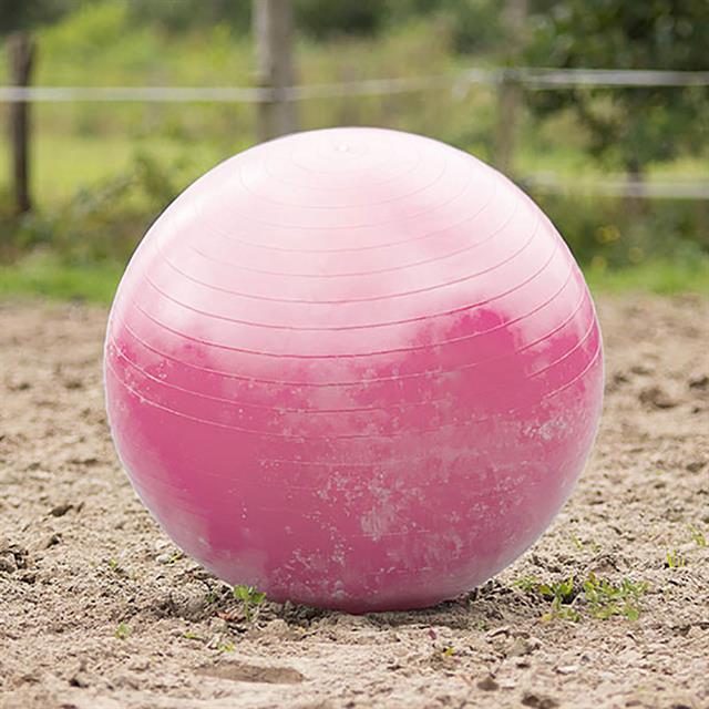Pferdefußball BR Pink