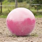 Pferdefußball BR Rosa