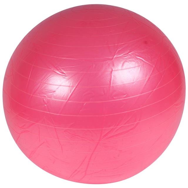 Pferdefußball BR Rosa