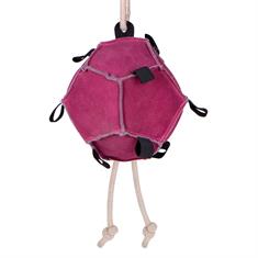 Pferdespielzeug Ball QHP Rosa