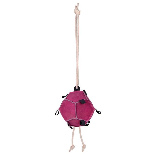 Pferdespielzeug Ball QHP Rosa