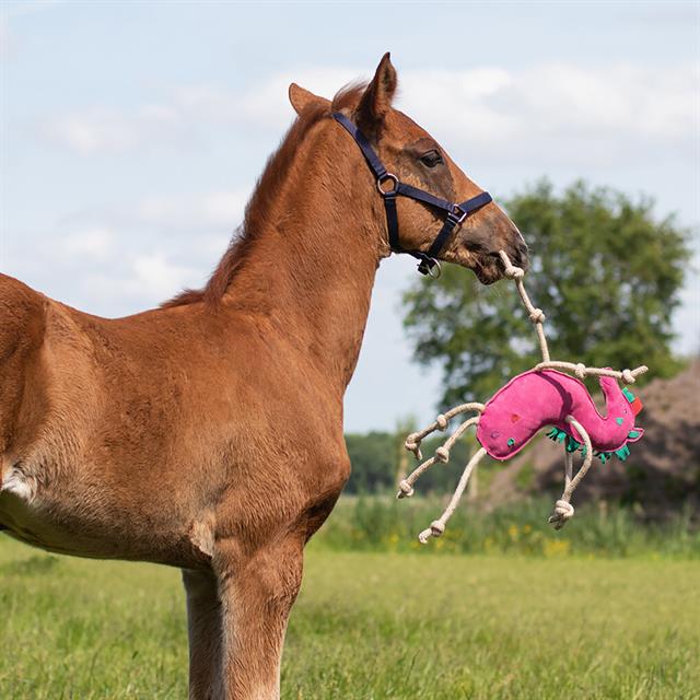 Pferdespielzeug Unicorn QHP Divers