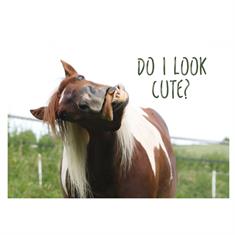 Postkarte Cute