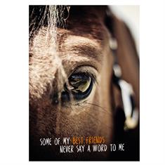 Postkarte Horse Best Friend