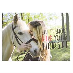 Postkarte Hug Your Horse Divers