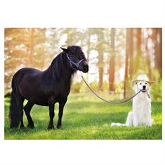 Postkarte Hund Divers