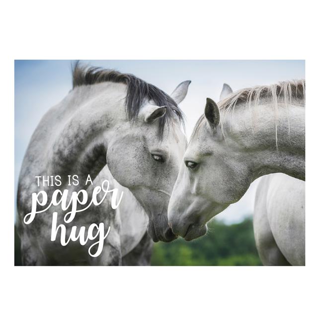 Postkarte Paper Hug Divers