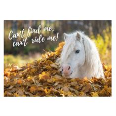 Postkarte Pony Herbst