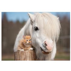 Postkarte Pony Kitten