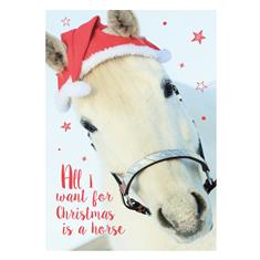 Postkarte Weihnachten Pferd