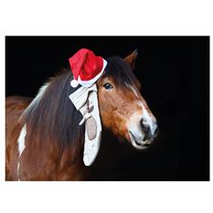Postkarte Weihnachten Pony