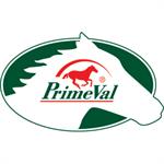 primeval