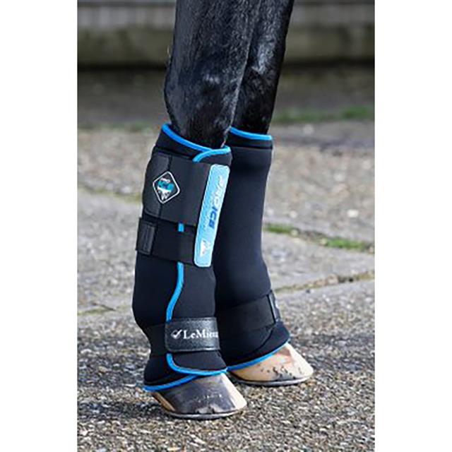 Prolce Freeze Boots LeMieux Schwarz