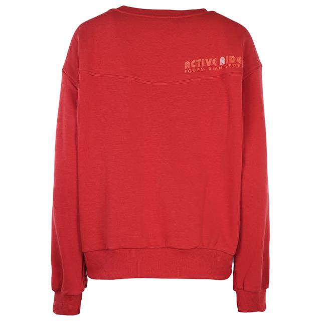 Pullover AR24204 Active Rider Rot