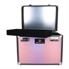 Putzbox IRHShiny Imperial Riding Rosa