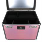 Putzbox IRHShiny Imperial Riding Rosa