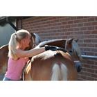 Putzhandschuhe Scrub HORSEGEAR Schwarz
