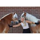 Putzhandschuhe Scrub HORSEGEAR Schwarz