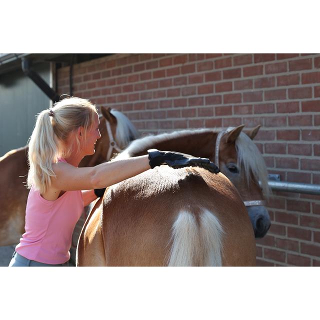 Putzhandschuhe Scrub HORSEGEAR Schwarz