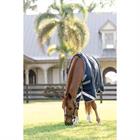 Regendecke Horseware Amigo 1200D 0g Dunkelblau-Grau
