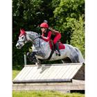 Reitleggings Young Rider Pull On Vollbesatz Silikon LeMieux Rot
