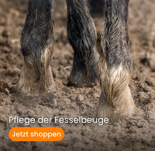 Row 1 Banner 1 Pflege der Fesselbeuge