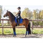 Schabracke Anatomic Tech Anky Mittelblau