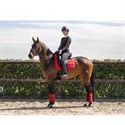 Schabracke Anatomic Tech Anky Rot