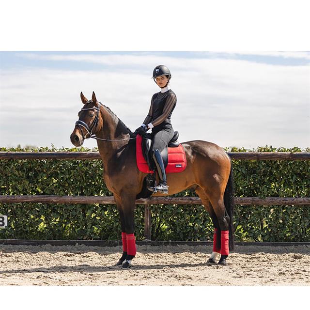 Schabracke Anatomic Tech Anky Rot