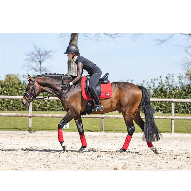 Schabracke Anatomic Tech Anky Rot
