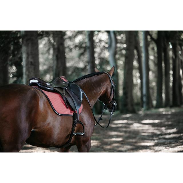 Schabracke Color Edition Leather Kentucky Rosa